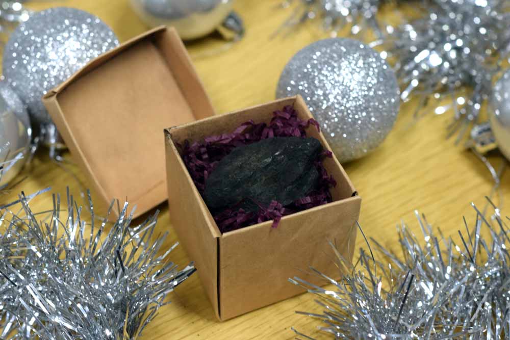 Hedgehog Digital's Alternative Christmas Card - Client Coal