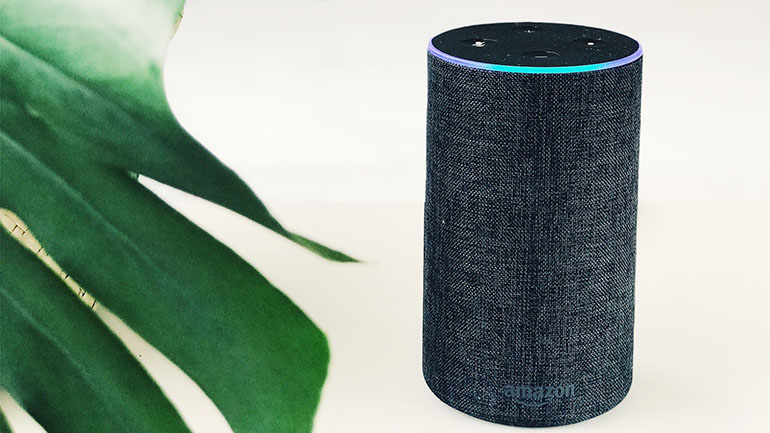 Hedgehog Digital Voice Search - Amazon Alexa