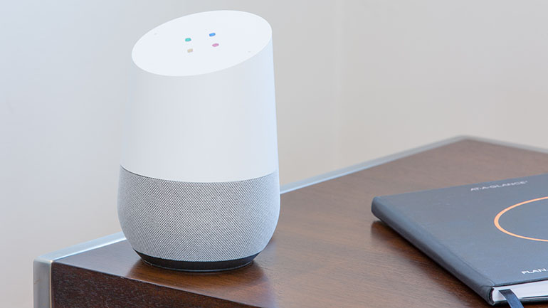 Hedgehog Digital Voice Search - Google Home
