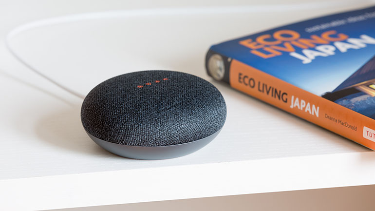 Hedgehog Digital Voice Search - echo dot